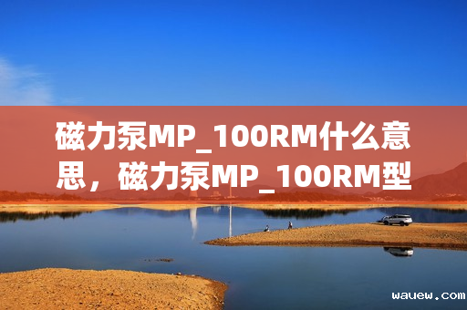 磁力泵MP_100RM什么意思,磁力泵MP_100RM型号解读及其特点 磁力泵MP_100RM什么意思,磁力泵MP_100RM型号解读及其特点