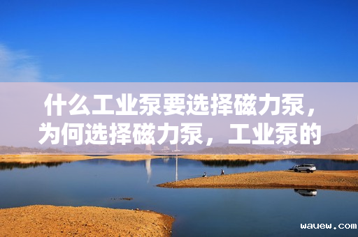 什么工业泵要选择磁力泵,为何选择磁力泵,工业泵的理想之选 什么工业泵要选择磁力泵,为何选择磁力泵,工业泵的理想之选