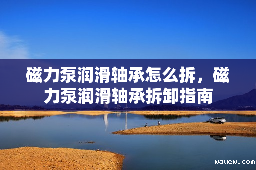 磁力泵润滑轴承怎么拆,磁力泵润滑轴承拆卸指南 磁力泵润滑轴承怎么拆,磁力泵润滑轴承拆卸指南