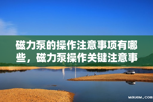 磁力泵的操作注意事项有哪些,磁力泵操作关键注意事项解析 磁力泵的操作注意事项有哪些,磁力泵操作关键注意事项解析