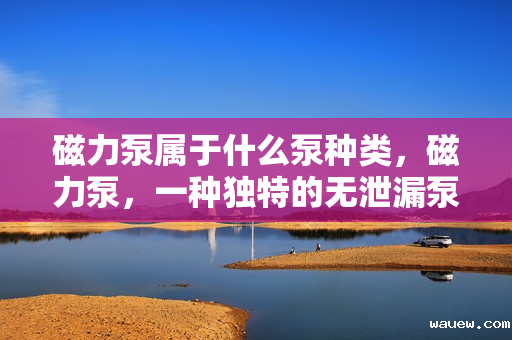 磁力泵属于什么泵种类,磁力泵,一种独特的无泄漏泵类,了解其分类及特点 磁力泵属于什么泵种类,磁力泵,一种独特的无泄漏泵类,了解其分类及特点