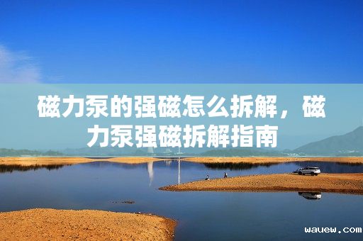 磁力泵的强磁怎么拆解,磁力泵强磁拆解指南 磁力泵的强磁怎么拆解,磁力泵强磁拆解指南