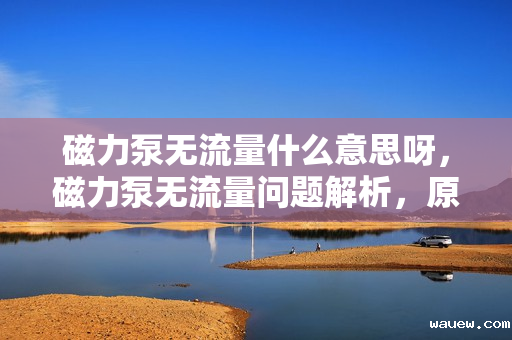 磁力泵无流量什么意思呀,磁力泵无流量问题解析,原因与解决方案 磁力泵无流量什么意思呀,磁力泵无流量问题解析,原因与解决方案