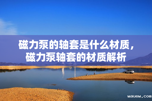 磁力泵的轴套是什么材质,磁力泵轴套的材质解析 磁力泵的轴套是什么材质,磁力泵轴套的材质解析