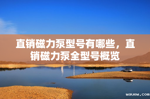 直销磁力泵型号有哪些,直销磁力泵全型号概览 直销磁力泵型号有哪些,直销磁力泵全型号概览