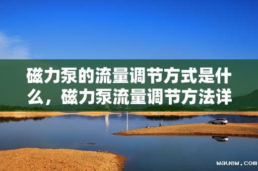 磁力泵的流量调节方式是什么,磁力泵流量调节方法详解 磁力泵的流量调节方式是什么,磁力泵流量调节方法详解