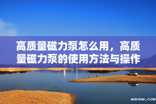高质量磁力泵怎么用,高质量磁力泵的使用方法与操作指南 高质量磁力泵怎么用,高质量磁力泵的使用方法与操作指南