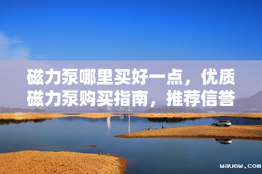 磁力泵哪里买好一点,优质磁力泵购买指南,推荐信誉商家,助你轻松选购 磁力泵哪里买好一点,优质磁力泵购买指南,推荐信誉商家,助你轻松选购