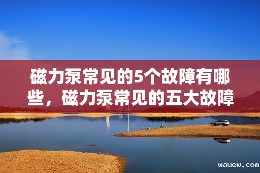 磁力泵常见的5个故障有哪些,磁力泵常见的五大故障解析 磁力泵常见的5个故障有哪些,磁力泵常见的五大故障解析
