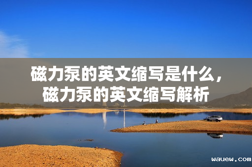 磁力泵的英文缩写是什么,磁力泵的英文缩写解析 磁力泵的英文缩写是什么,磁力泵的英文缩写解析