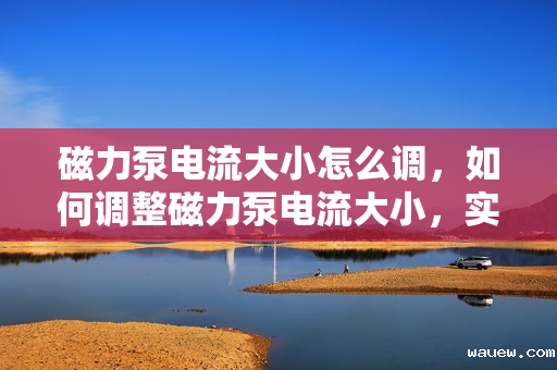 磁力泵电流大小怎么调,如何调整磁力泵电流大小,实用指南与步骤 磁力泵电流大小怎么调,如何调整磁力泵电流大小,实用指南与步骤