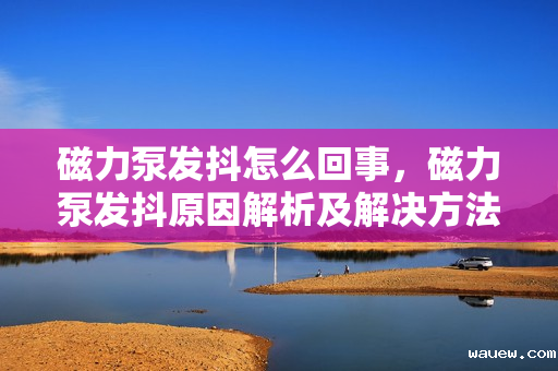 磁力泵发抖怎么回事,磁力泵发抖原因解析及解决方法 磁力泵发抖怎么回事,磁力泵发抖原因解析及解决方法