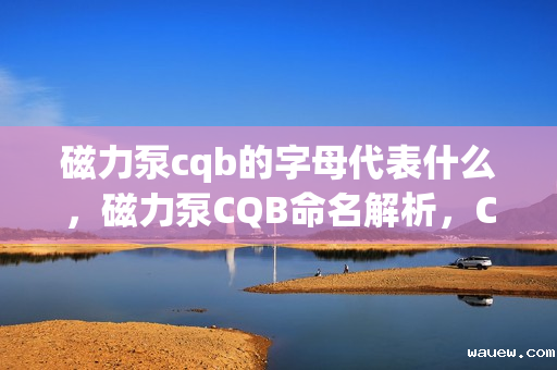 磁力泵cqb的字母代表什么,磁力泵CQB命名解析,CQB字母代表的含义揭秘 磁力泵cqb的字母代表什么,磁力泵CQB命名解析,CQB字母代表的含义揭秘