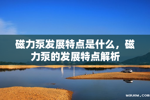 磁力泵发展特点是什么,磁力泵的发展特点解析 磁力泵发展特点是什么,磁力泵的发展特点解析