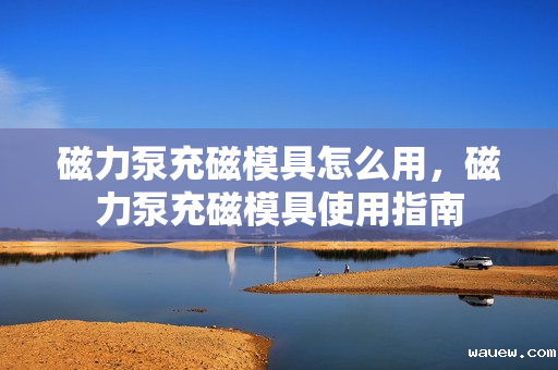 磁力泵充磁模具怎么用,磁力泵充磁模具使用指南 磁力泵充磁模具怎么用,磁力泵充磁模具使用指南