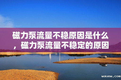 磁力泵流量不稳原因是什么,磁力泵流量不稳定的原因解析 磁力泵流量不稳原因是什么,磁力泵流量不稳定的原因解析