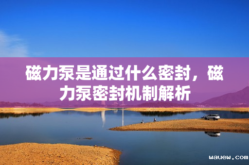 磁力泵是通过什么密封,磁力泵密封机制解析 磁力泵是通过什么密封,磁力泵密封机制解析