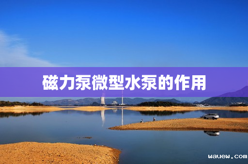 磁力泵微型水泵的作用 磁力泵微型水泵的作用