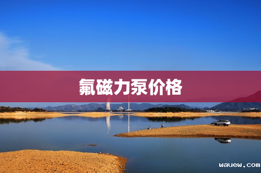 氟磁力泵价格 氟磁力泵价格