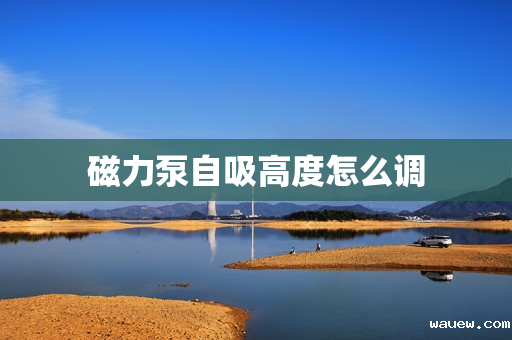 磁力泵自吸高度怎么调 磁力泵自吸高度怎么调