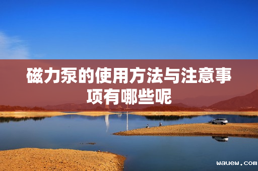 磁力泵的使用方法与注意事项有哪些呢 磁力泵的使用方法与注意事项有哪些呢