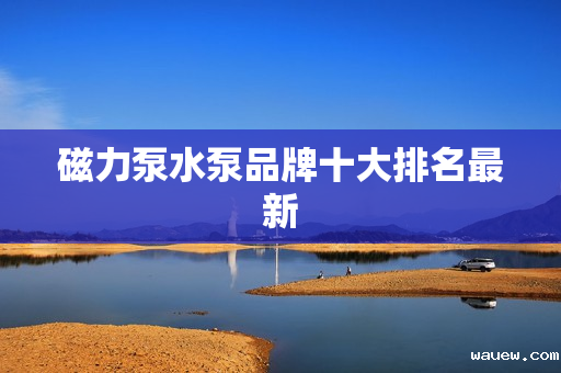 磁力泵水泵品牌十大排名最新 磁力泵水泵品牌十大排名最新
