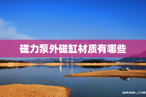 磁力泵外磁缸材质有哪些 磁力泵外磁缸材质有哪些