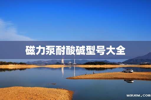 磁力泵耐酸碱型号大全 磁力泵耐酸碱型号大全