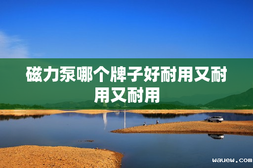 磁力泵哪个牌子好耐用又耐用又耐用 磁力泵哪个牌子好耐用又耐用又耐用