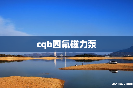 cqb四氟磁力泵 cqb四氟磁力泵
