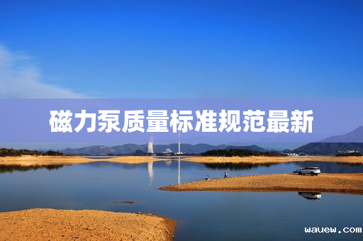 磁力泵质量标准规范最新 磁力泵质量标准规范最新