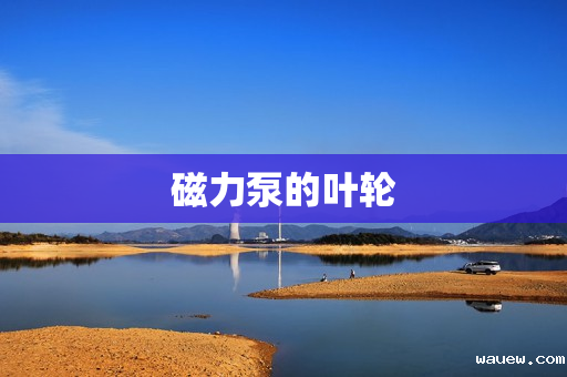 磁力泵的叶轮 磁力泵的叶轮