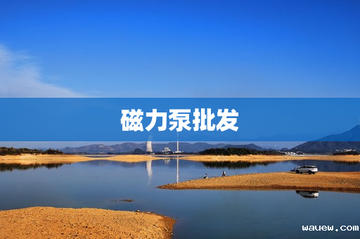 磁力泵批发 磁力泵批发