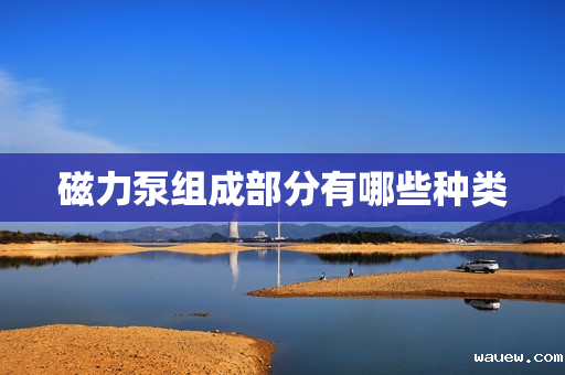 磁力泵组成部分有哪些种类 磁力泵组成部分有哪些种类