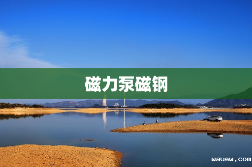 磁力泵磁钢 磁力泵磁钢