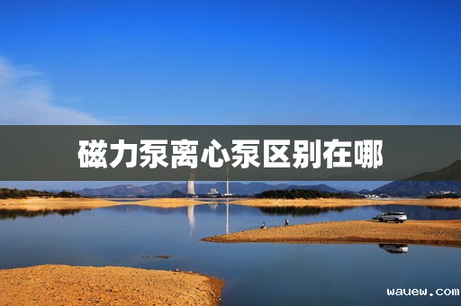 磁力泵离心泵区别在哪 磁力泵离心泵区别在哪