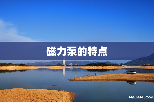 磁力泵的特点 磁力泵的特点