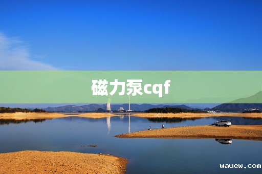 磁力泵cqf 磁力泵cqf