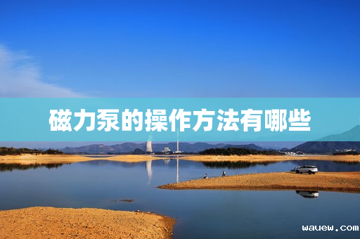 磁力泵的操作方法有哪些 磁力泵的操作方法有哪些