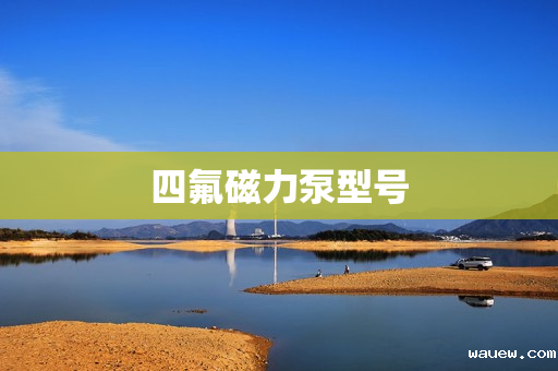 四氟磁力泵型号 四氟磁力泵型号