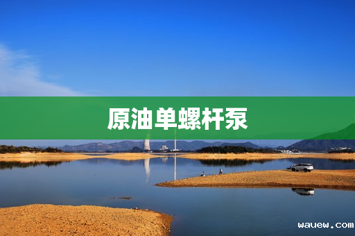 原油单螺杆泵 原油单螺杆泵