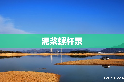 泥浆螺杆泵 泥浆螺杆泵