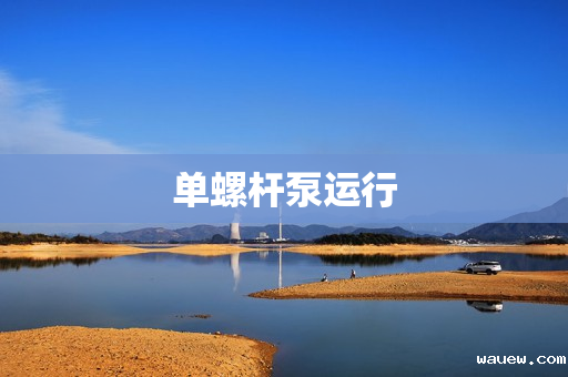 单螺杆泵运行 单螺杆泵运行