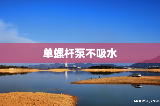 单螺杆泵不吸水 单螺杆泵不吸水