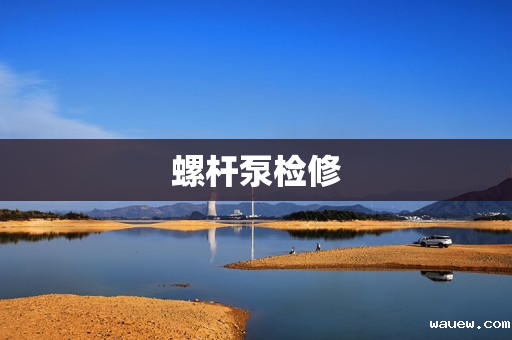 螺杆泵检修 螺杆泵检修