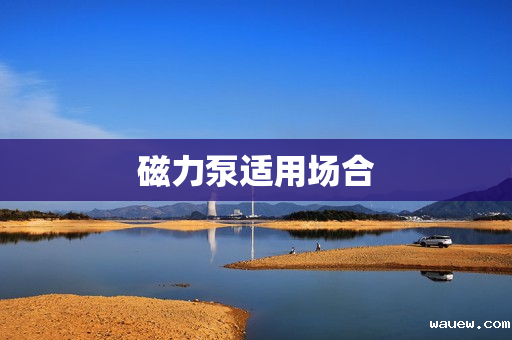 磁力泵适用场合 磁力泵适用场合