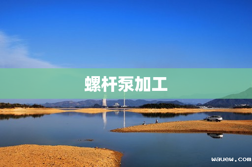 螺杆泵加工 螺杆泵加工