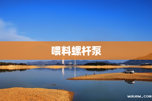 喂料螺杆泵 喂料螺杆泵