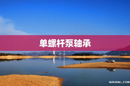 单螺杆泵轴承 单螺杆泵轴承