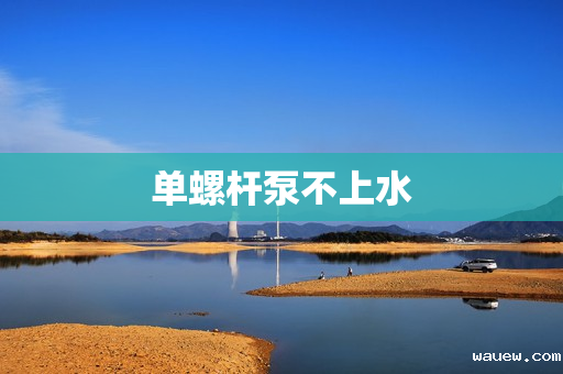 单螺杆泵不上水 单螺杆泵不上水